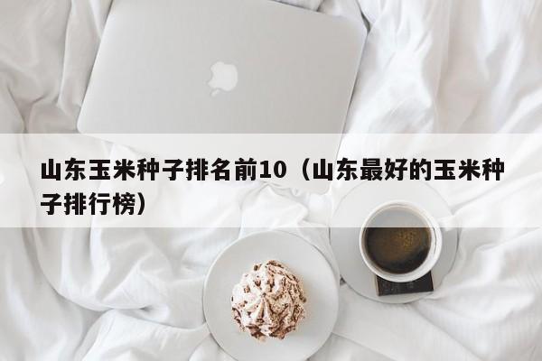 山东玉米种子排名前10（山东最好的玉米种子排行榜）