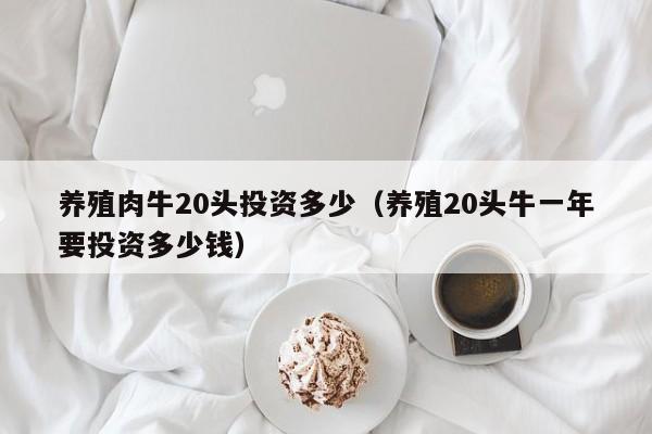 养殖肉牛20头投资多少（养殖20头牛一年要投资多少钱）